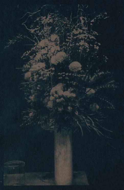 Bouquet of dried flowers in a vase, platinum print