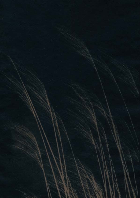 Windblown grass against a dark ground, first of a pair